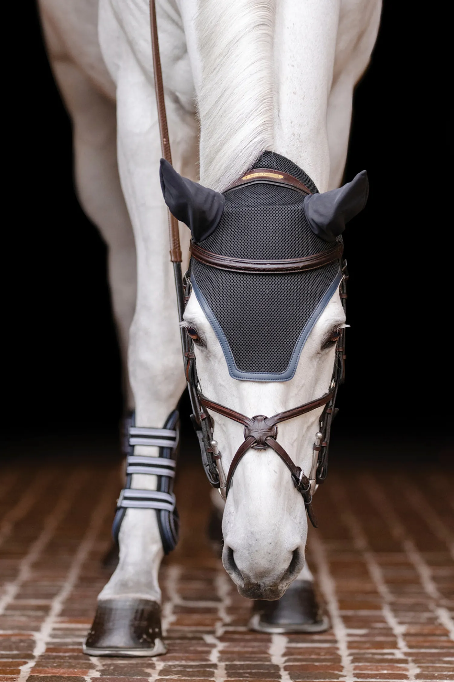 Online EQUIFIT ® Ear Bonnet with Colored Trim and No Logo