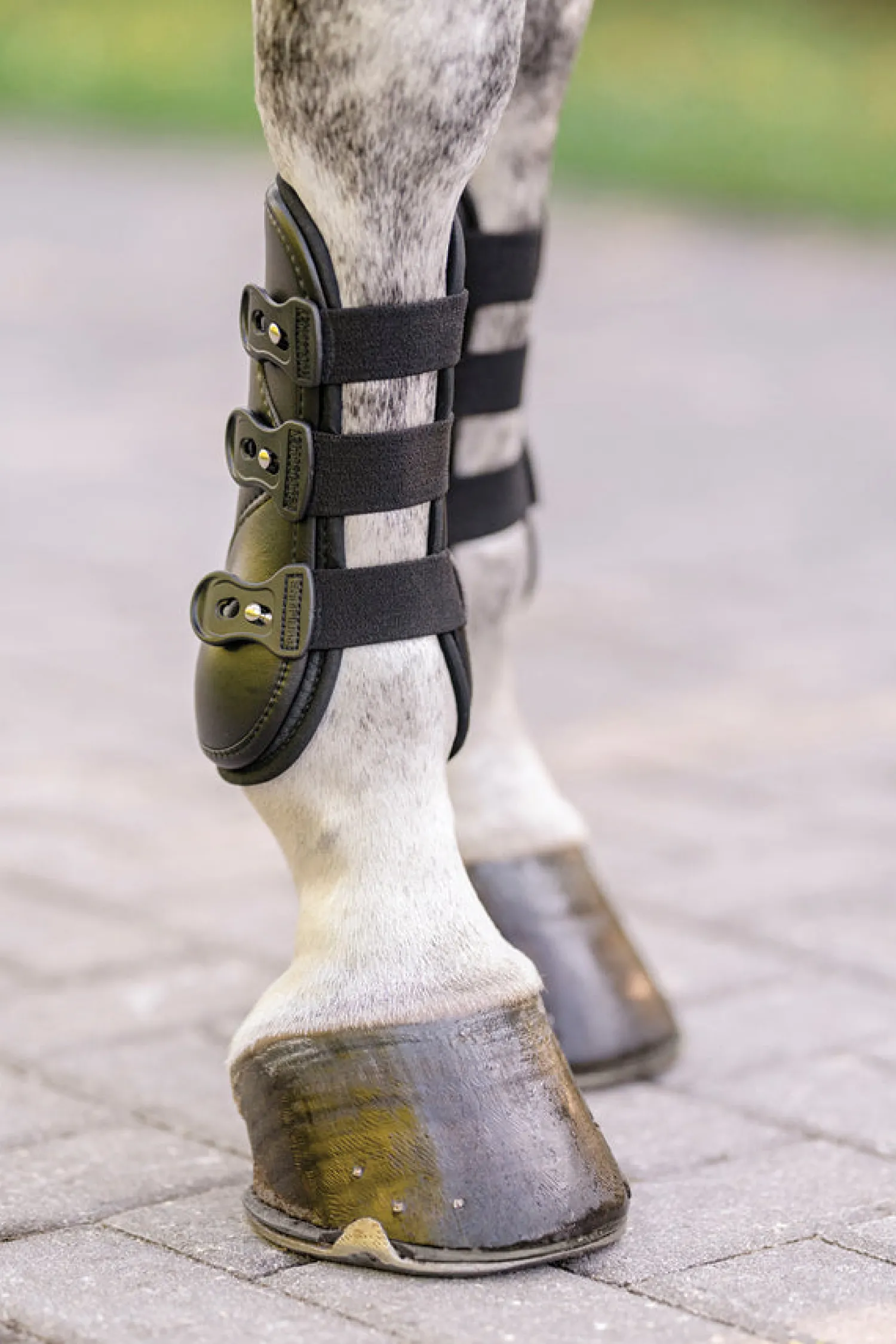 Best EQUIFIT ® Eq-Teq™ Front Boots Black