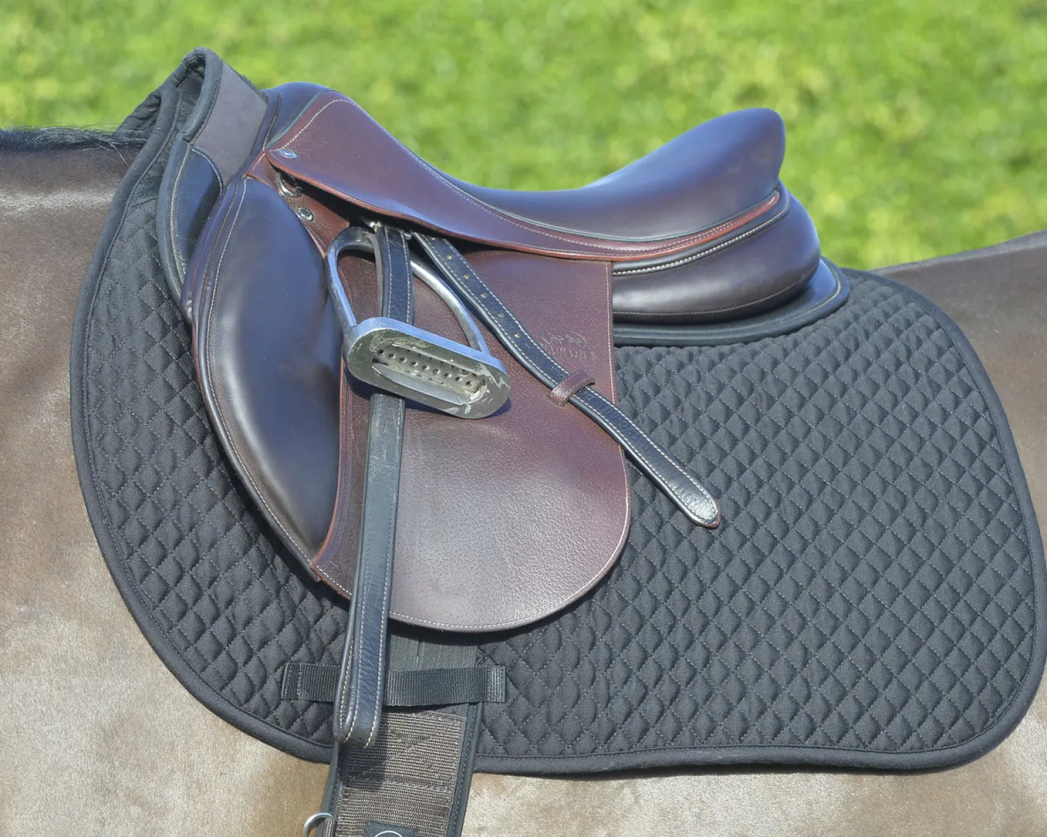 Discount EQUIFIT ® Essential Dressage Pad