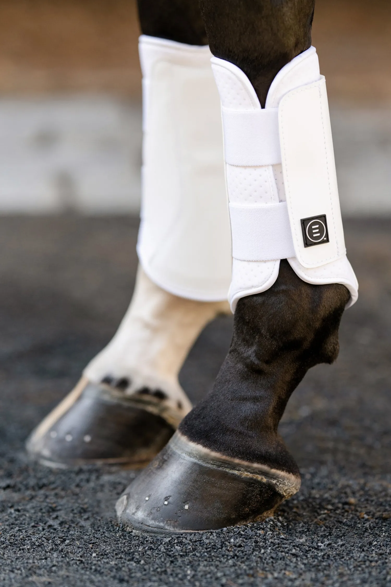 Outlet EQUIFIT ® Essential EveryDay Front Boot