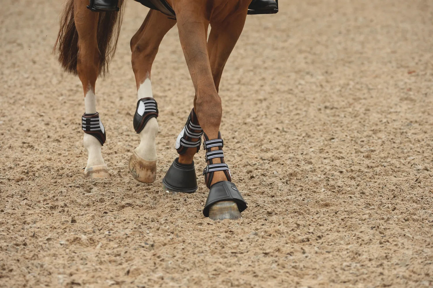Outlet EQUIFIT ® Essential Fleece Rolled Top Bell Boots