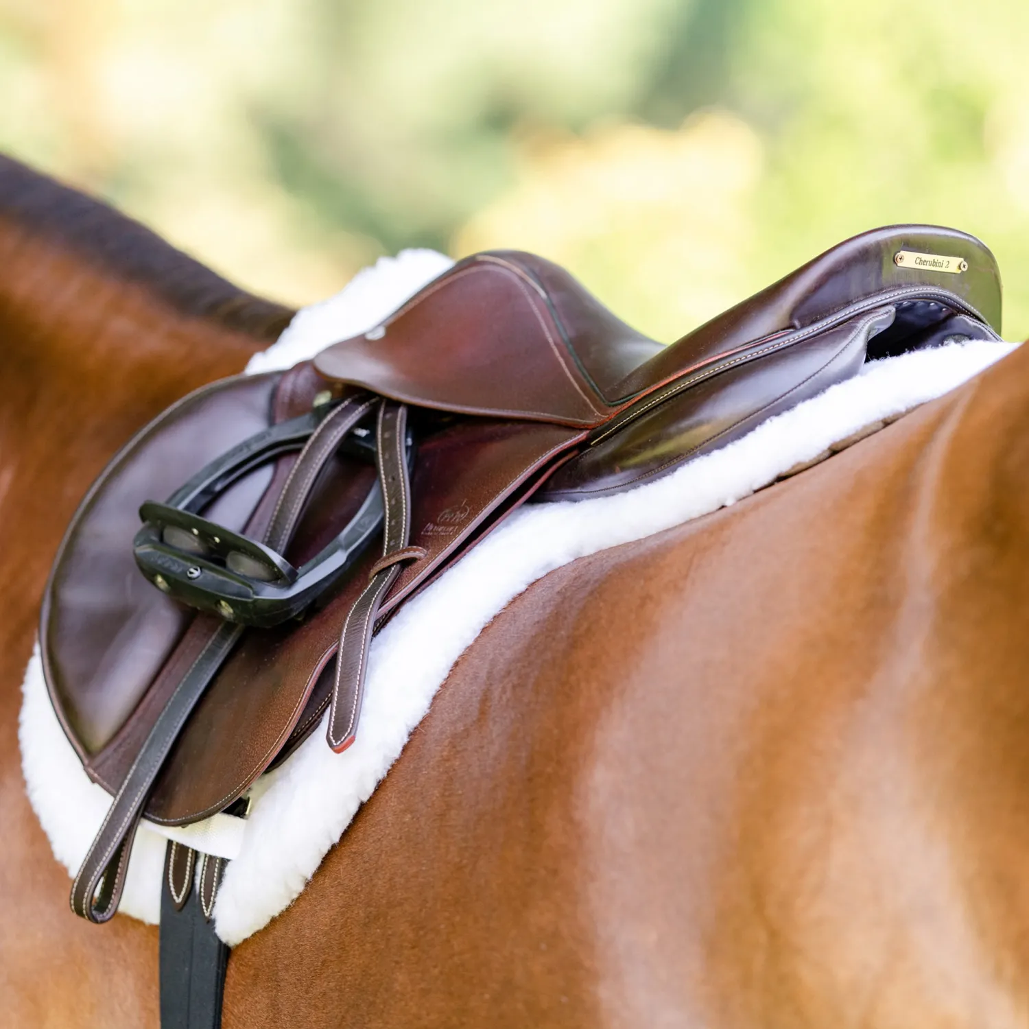 Best EQUIFIT ® Essential Hunter Pad White