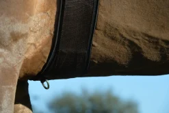 EQUIFIT ® Essential Schooling Girth with SheepsWool™ Liner Brown/Black