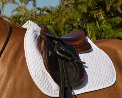 Best EQUIFIT ® Essential Square Pad