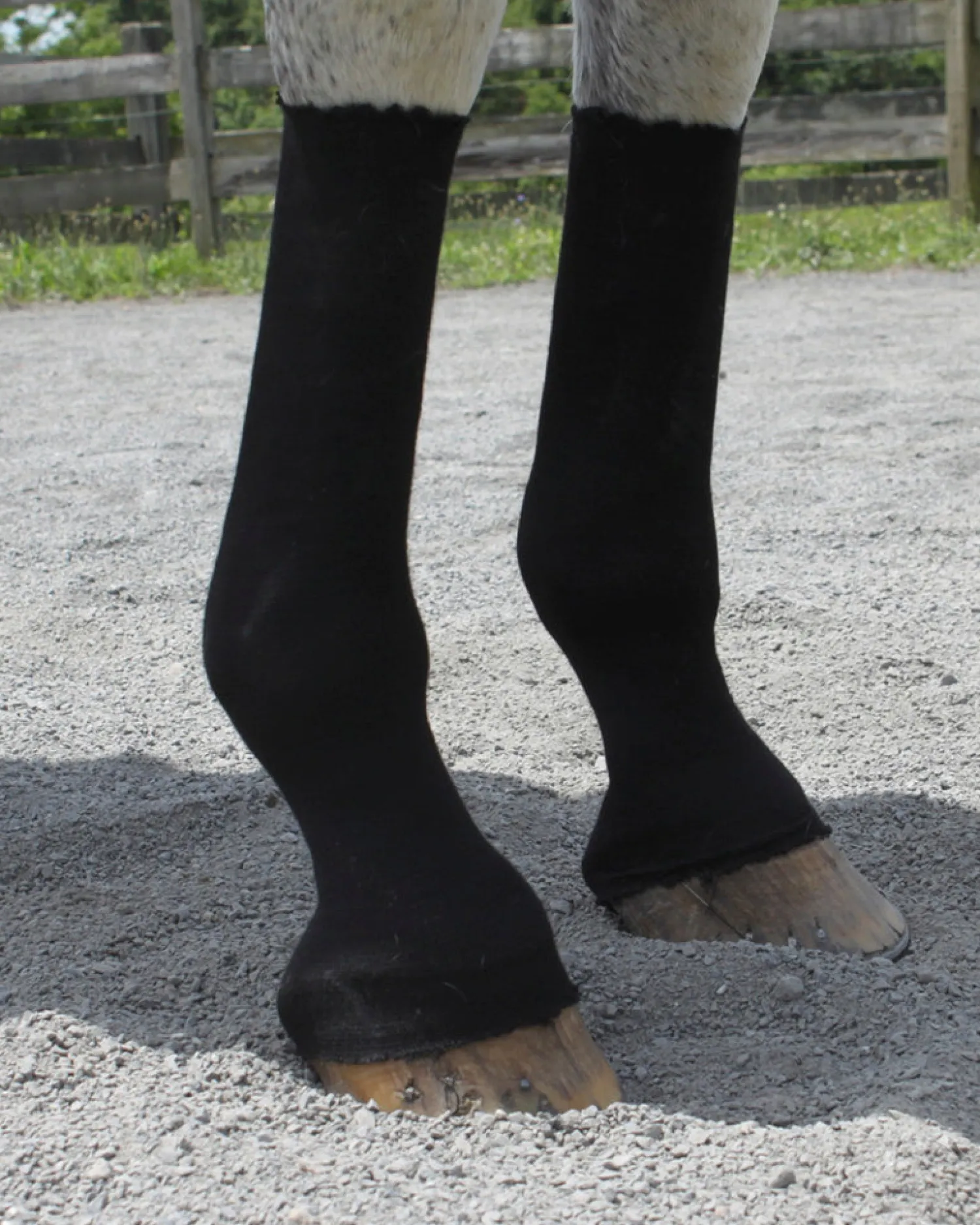 Hot EQUIFIT ® HorseSox Barn Roll