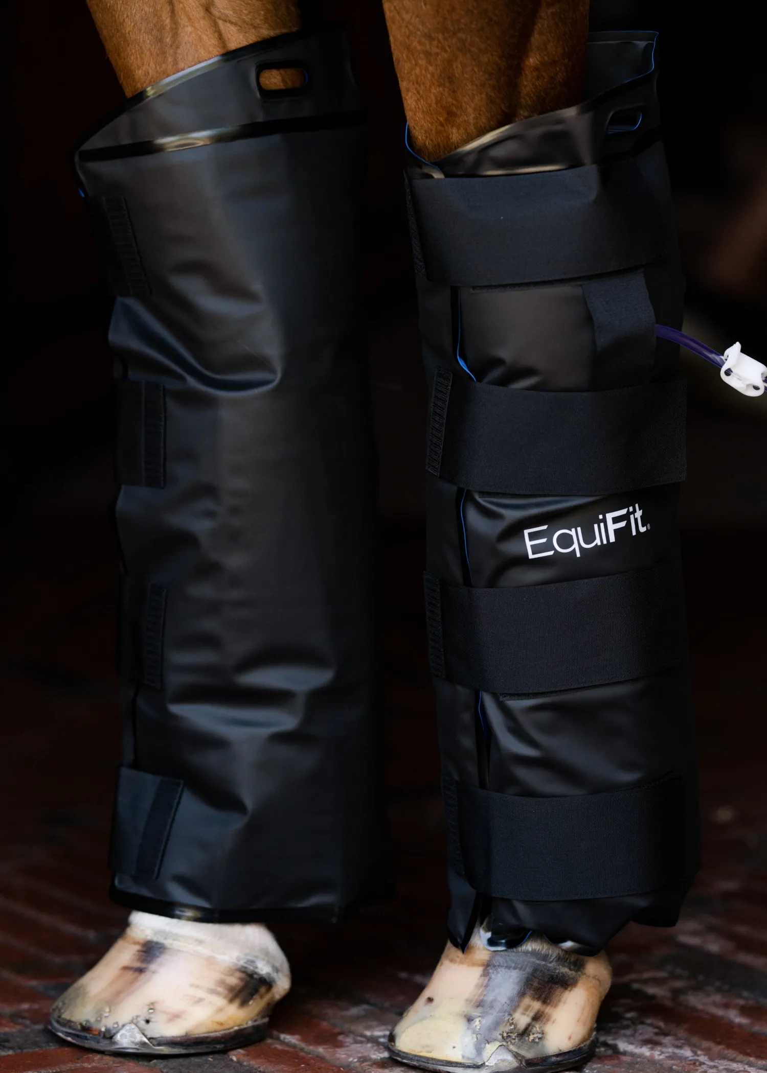 Hot EQUIFIT ® IceAir™ Cold Therapy Boots
