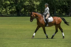 Best EQUIFIT ® MultiTeq Front Boots