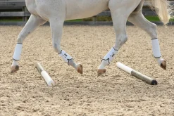 Clearance EQUIFIT ® MultiTeq SheepsWool Tall Hind Boots