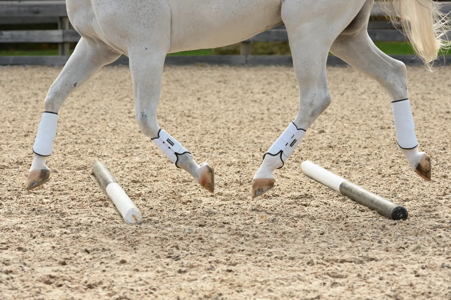 Clearance EQUIFIT ® MultiTeq SheepsWool Tall Hind Boots