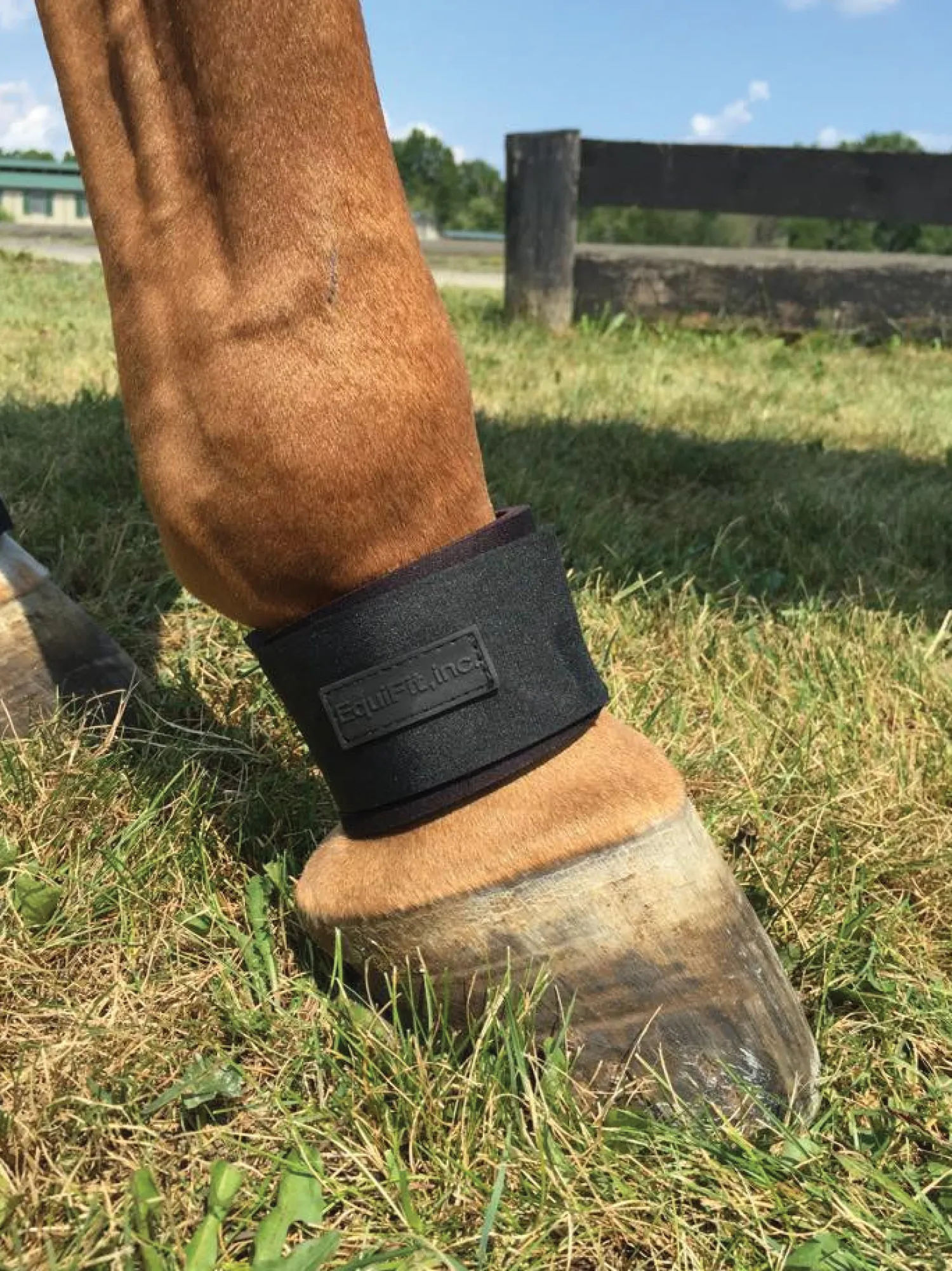 Hot EQUIFIT ® Pastern Wrap Black