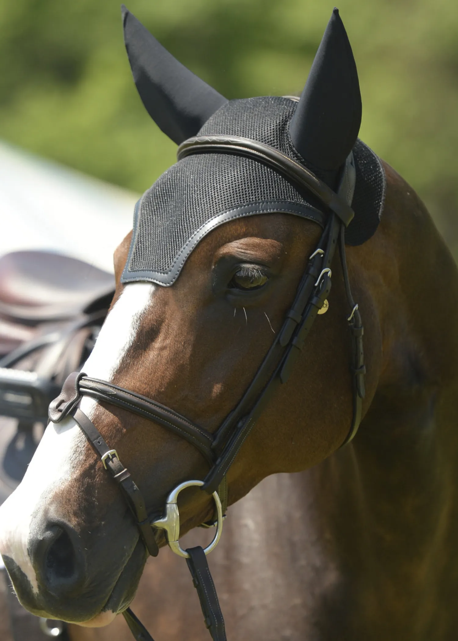 Best EQUIFIT ® SilentFit™ Ear Bonnet