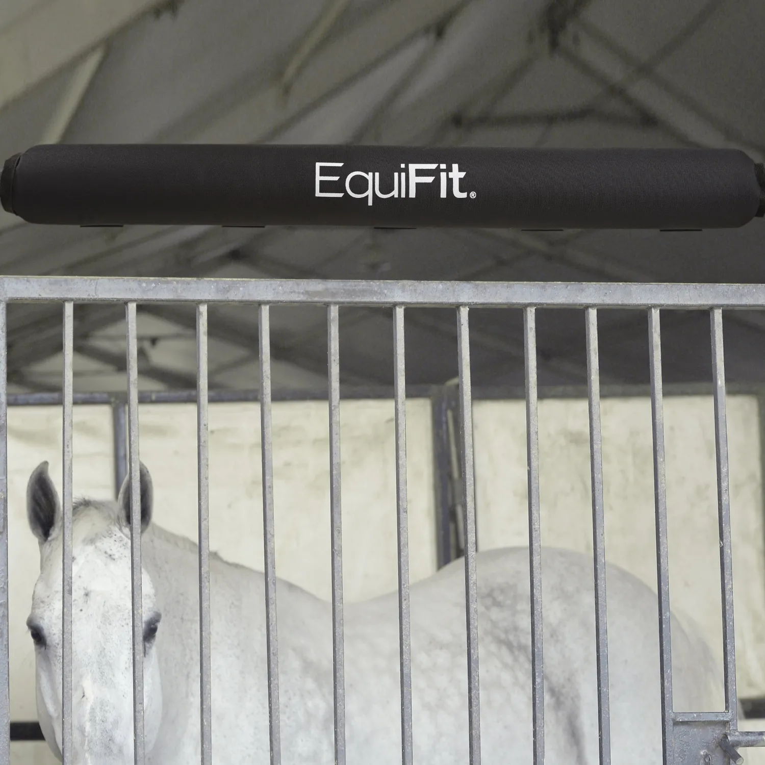 Online EQUIFIT ® StallBumper Black