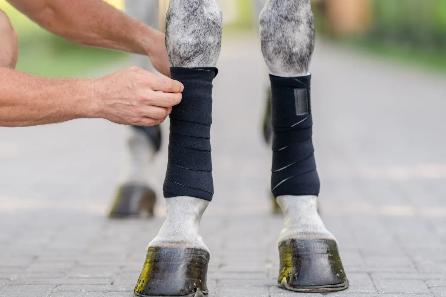 Hot EQUIFIT ® T-Sport Wraps™