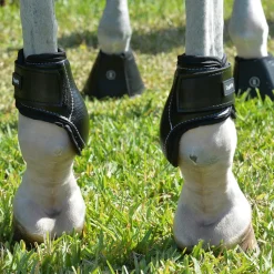 Sale EQUIFIT ® Young Horse Boots with ImpacTeq®