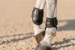 Sale EQUIFIT ® Young Horse Boots with ImpacTeq®