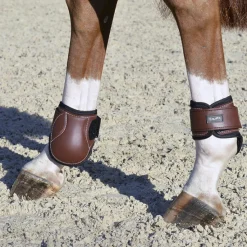Sale EQUIFIT ® Young Horse Boots with ImpacTeq®