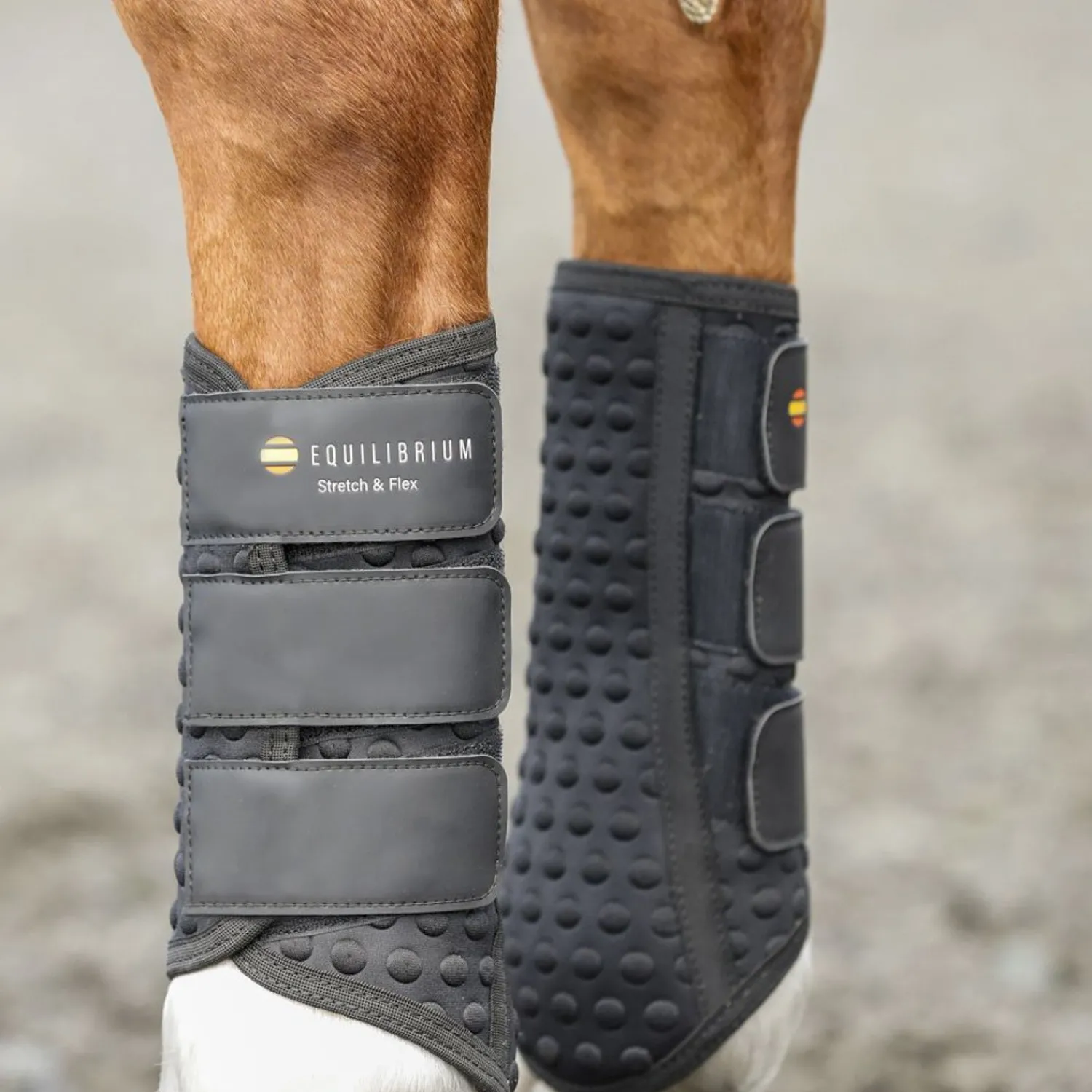 New WORLD EQUSTRN BRNDS Equilibrium Stretch & Flex Flatwork Wraps