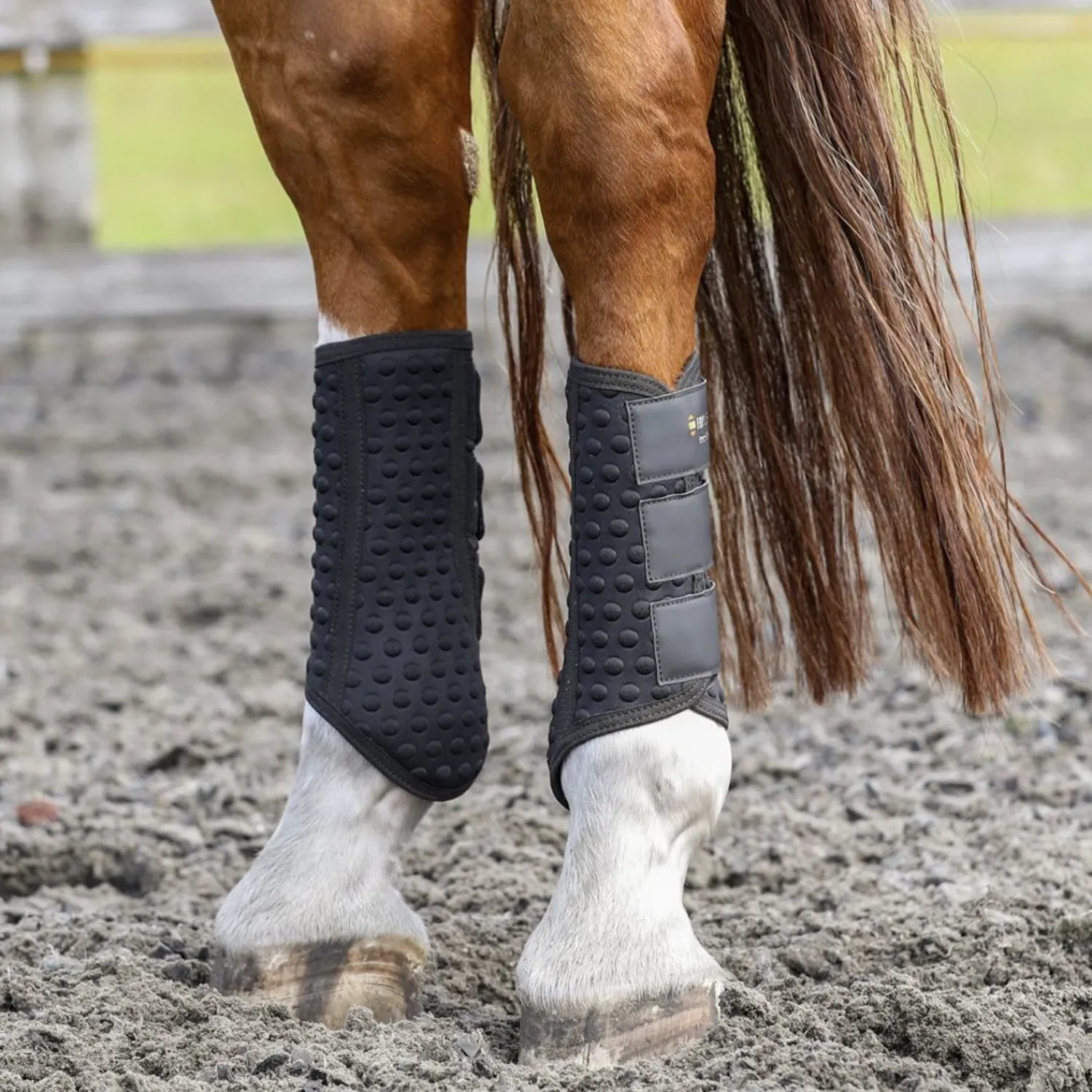 New WORLD EQUSTRN BRNDS Equilibrium Stretch & Flex Flatwork Wraps