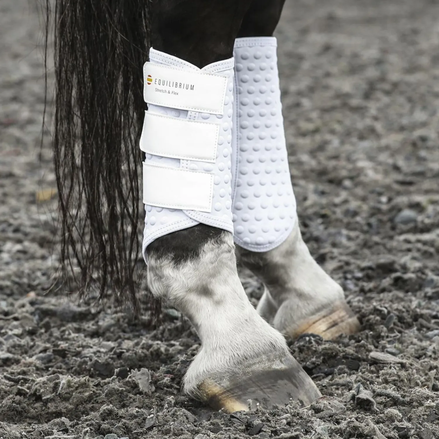 New WORLD EQUSTRN BRNDS Equilibrium Stretch & Flex Flatwork Wraps