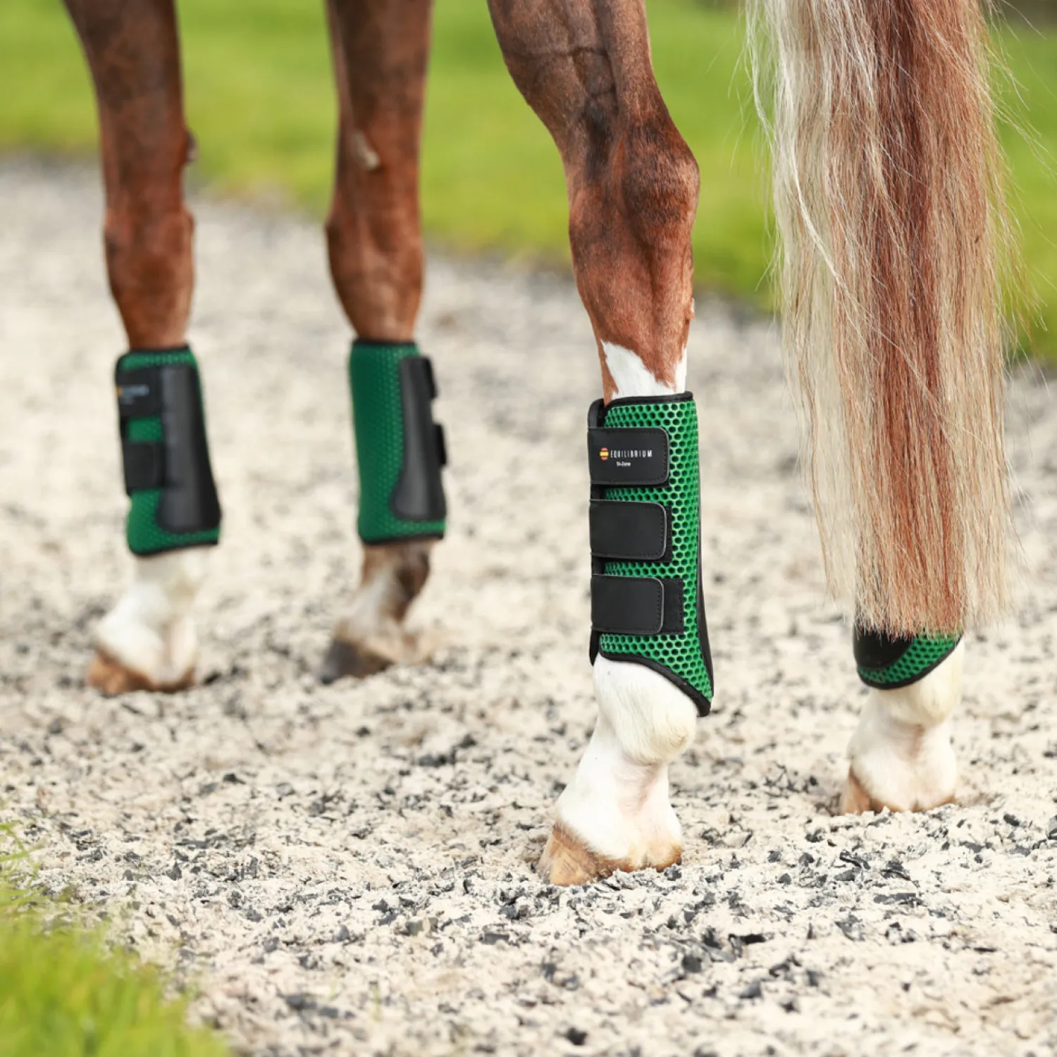 Online WORLD EQUSTRN BRNDS Equilibrium Tri-Zone Impact Hind Boots