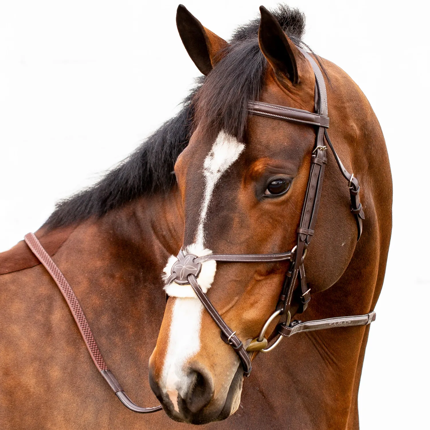 New EQUINAVIA Valkyrie Fancy-Stitched Figure-8 Bridle & Reins Chocolate Brown