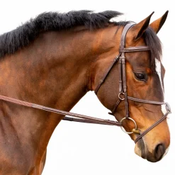 New EQUINAVIA Valkyrie Fancy-Stitched Figure-8 Bridle & Reins Chocolate Brown