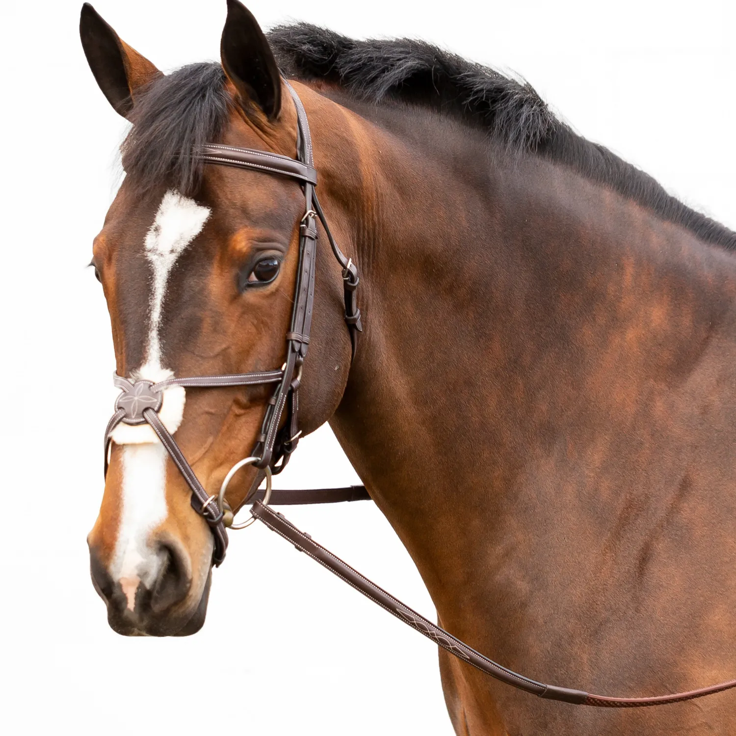 New EQUINAVIA Valkyrie Fancy-Stitched Figure-8 Bridle & Reins Chocolate Brown