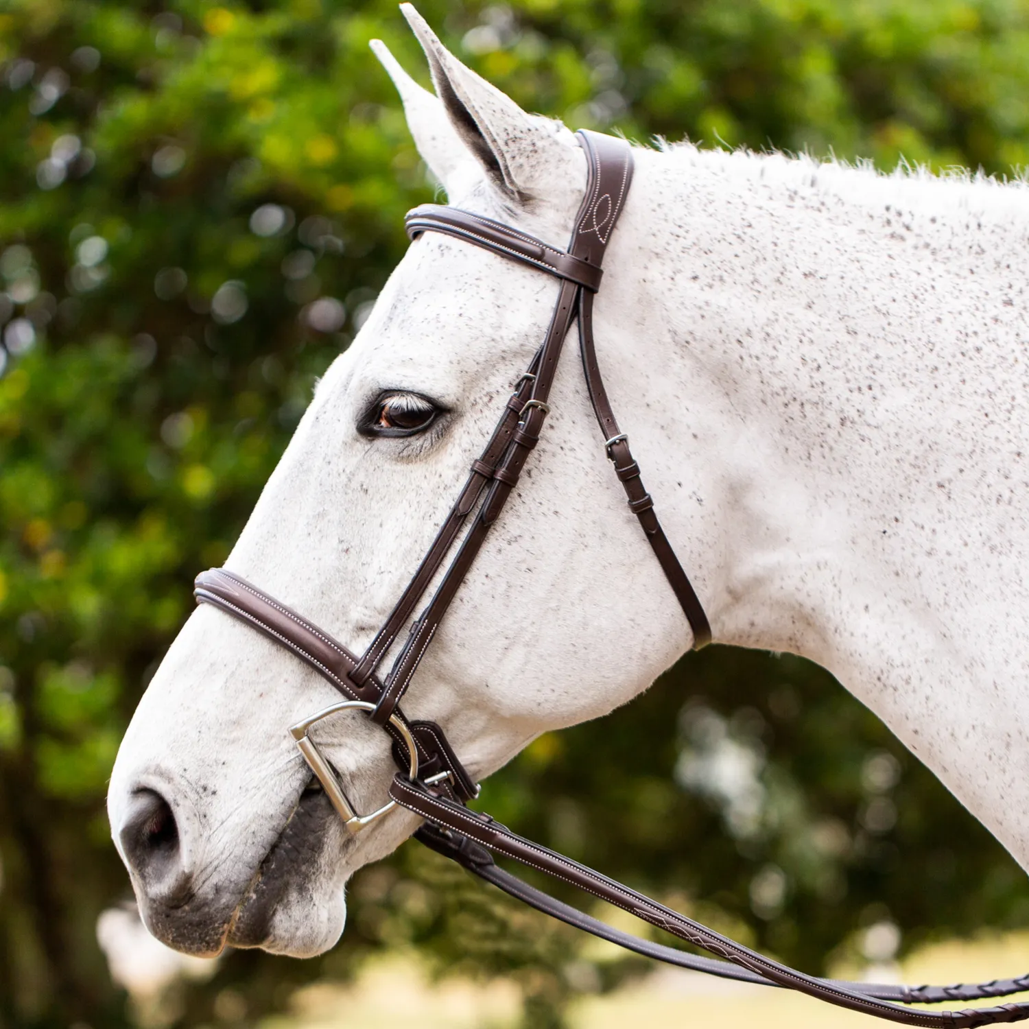Clearance EQUINAVIA Valkyrie Fancy-Stitched Hunter Bridle & Reins Chocolate Brown