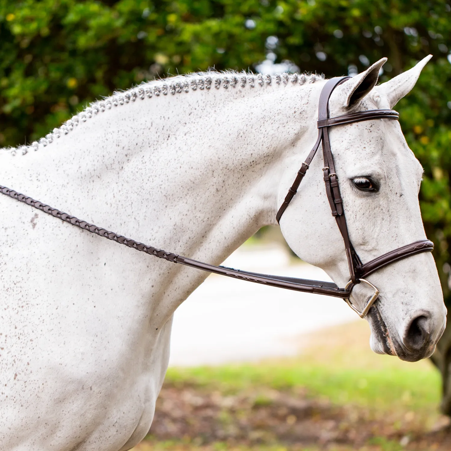 Clearance EQUINAVIA Valkyrie Fancy-Stitched Hunter Bridle & Reins Chocolate Brown