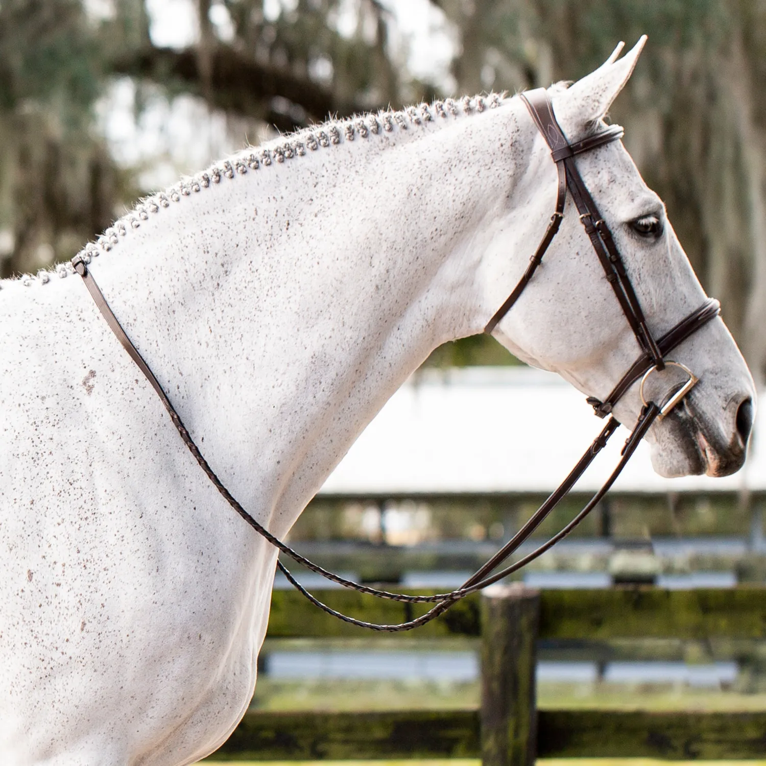 Clearance EQUINAVIA Valkyrie Fancy-Stitched Hunter Bridle & Reins Chocolate Brown
