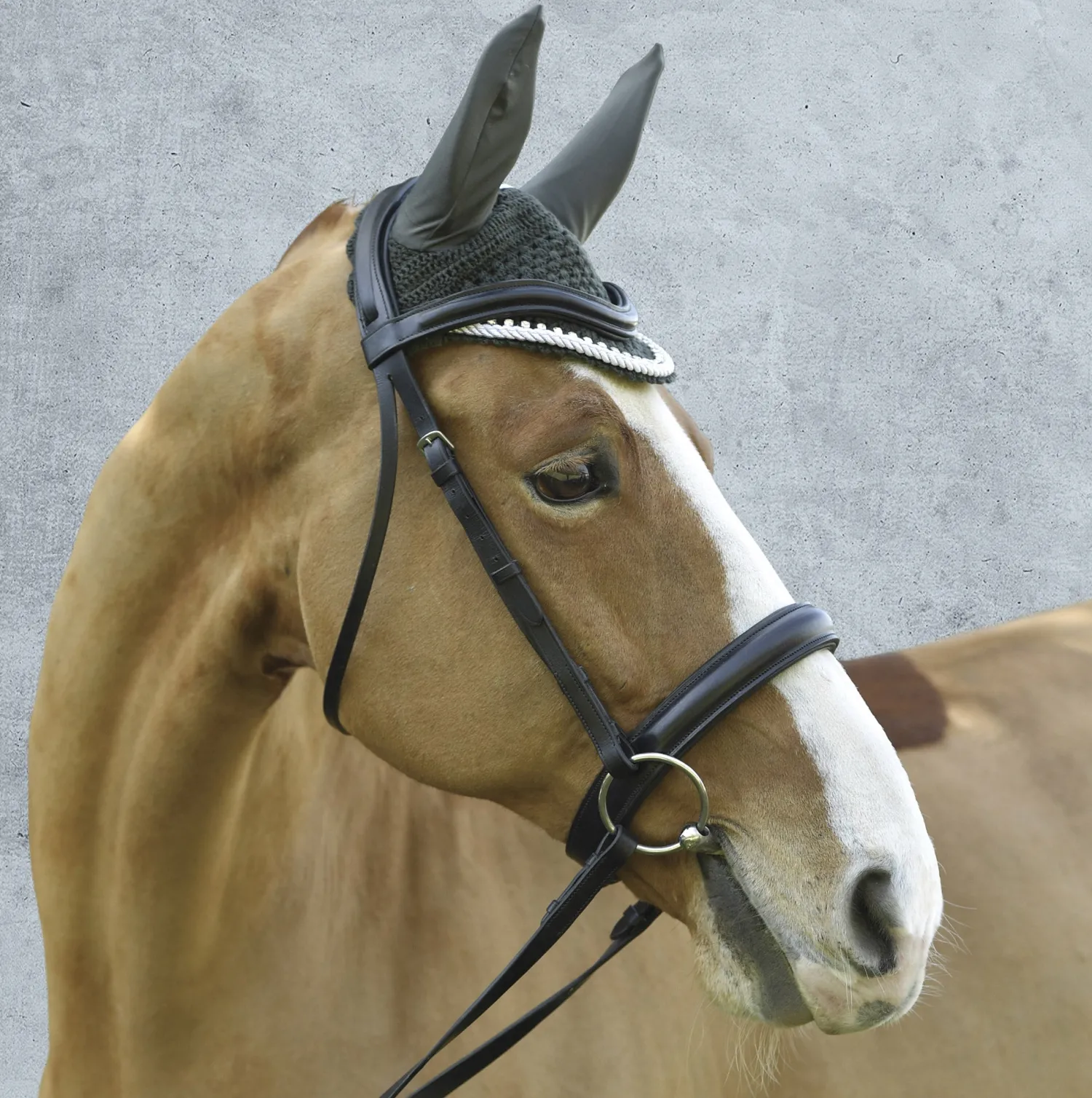 Online JPC EQUESTRIAN Equine Couture™ Fly Bonnet with Piping and Crystals