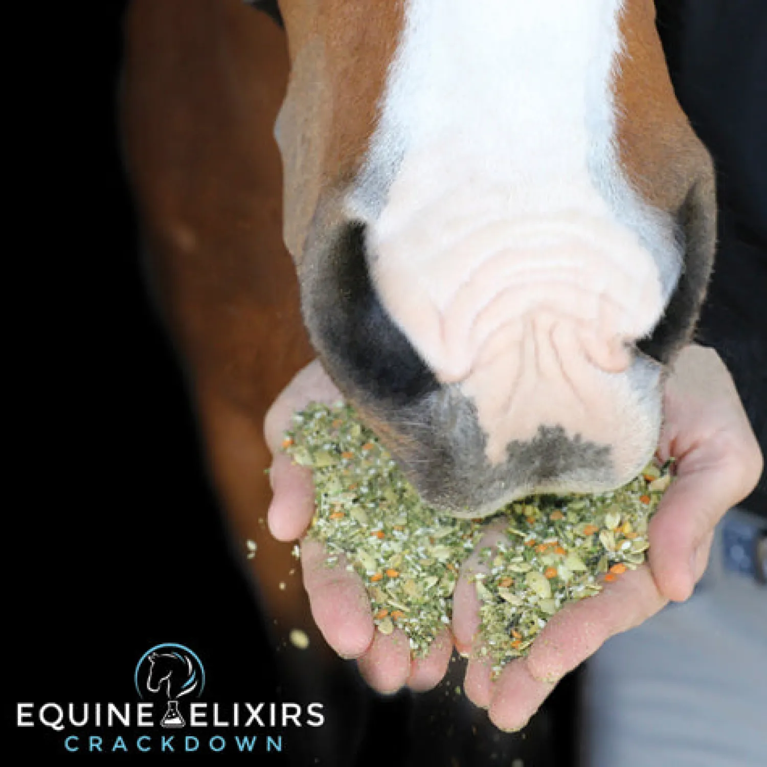 Clearance EQUINE ELIXIRS INC Equine Elixirs Crackdown®