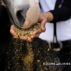 Clearance EQUINE ELIXIRS INC Equine Elixirs Ulceraser®