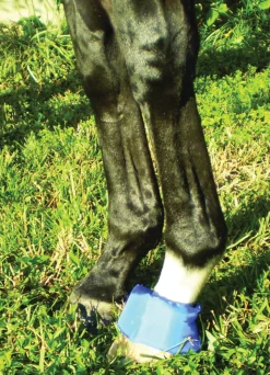 Discount EZ ICE Hoof - Founder Pack Blue
