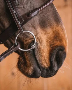 Hot ELITE EQUESTRIAN SUP Fager Emil Titanium Loose Ring Bit, 16mm Mouth