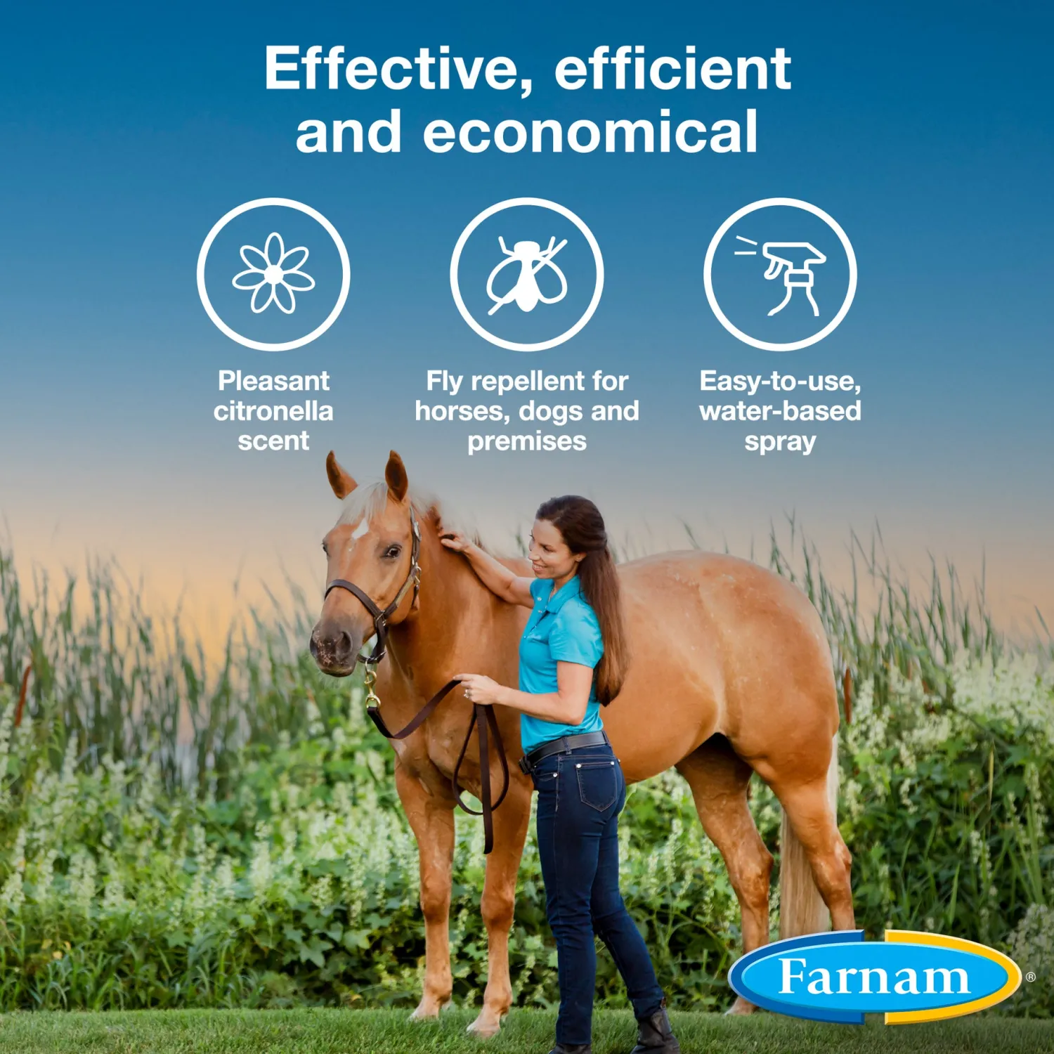 Outlet ANIMAL HEALTH INT Farnam® Bronco® E Fly Spray