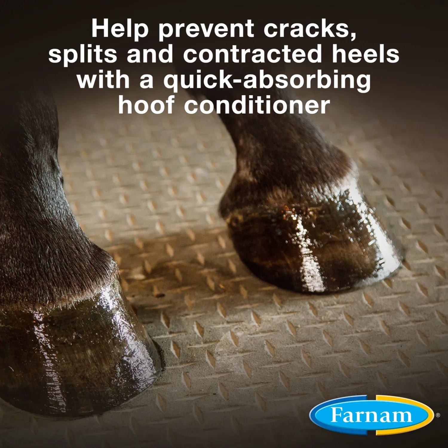 Best ANIMAL HEALTH INT Farnam® Horseshoer’s Secret® Hoof Conditioner