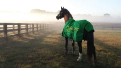 Online FARRIERS FIX Farriers' Fix