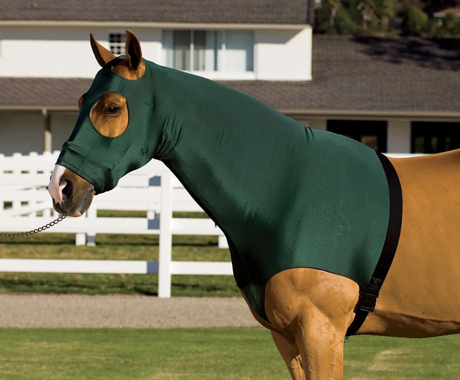 Discount INT RIDING HELMET Flex Rider® Stretchies™ Hood