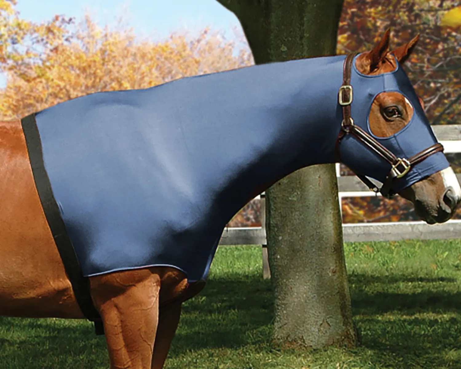 Discount INT RIDING HELMET Flex Rider® Stretchies™ Hood
