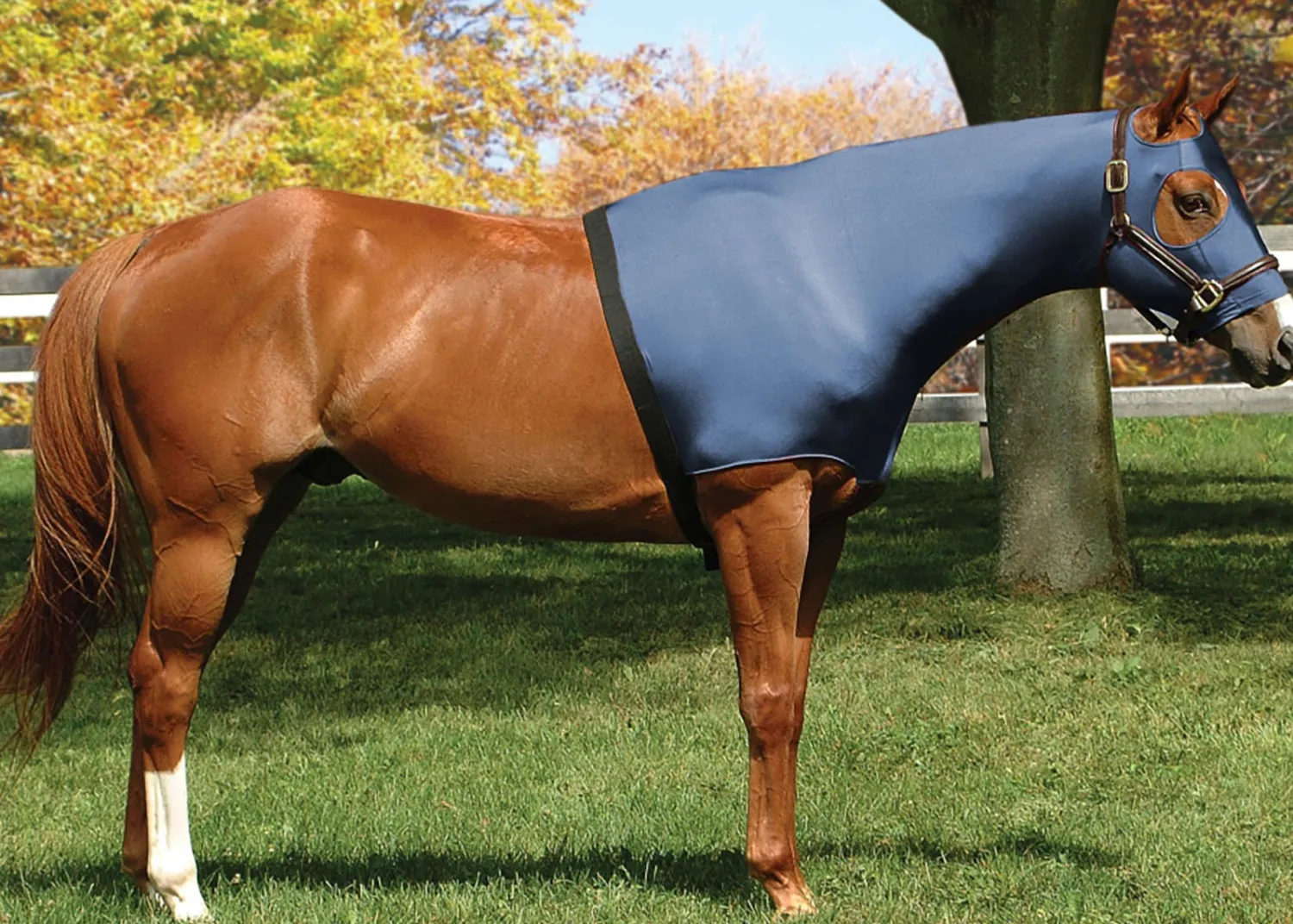 Discount INT RIDING HELMET Flex Rider® Stretchies™ Hood