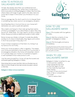 Best EQUESTRIBEV Gallagher’s Water™ All-Natural Equine Hydration Beverage NO SUGAR ADDED