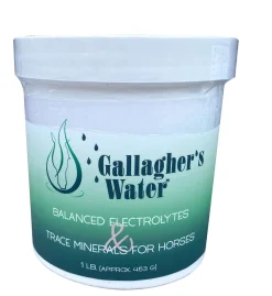 Clearance EQUESTRIBEV Gallagher’s Water™ Balanced Electrolytes & Trace Minerals