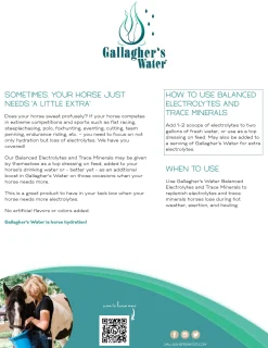 Clearance EQUESTRIBEV Gallagher’s Water™ Balanced Electrolytes & Trace Minerals