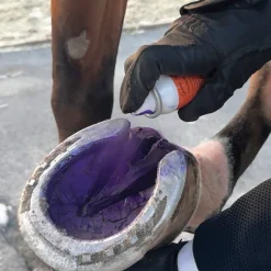 Hot RJ MATTHEWS Groom’s Hand Thrush Solution® Purple
