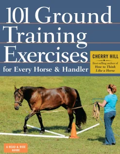 Clearance HACHETTE BOOK GROUP Ground Training Exercises