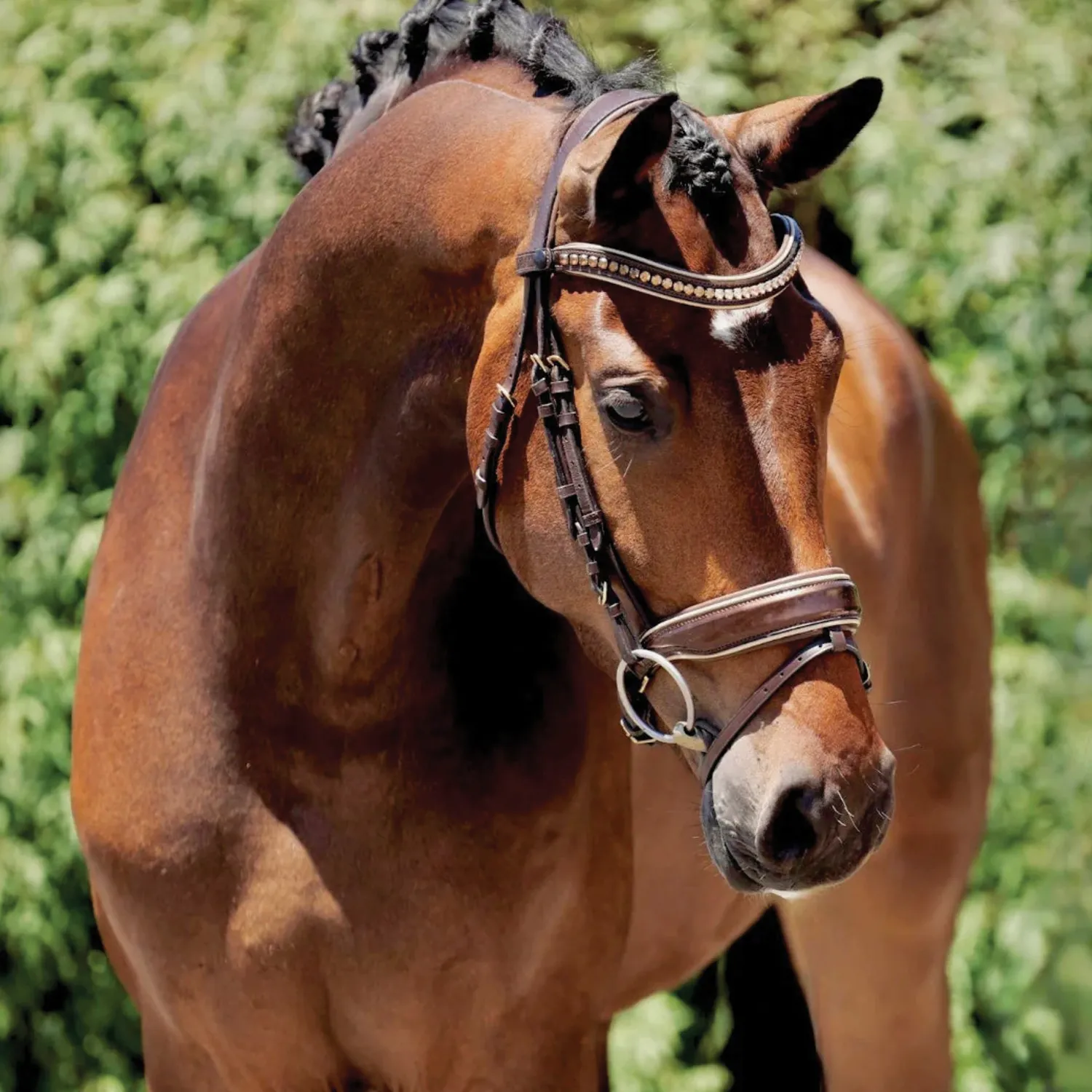 Outlet HALTER EGO ® Catalonia Snaffle Bridle Metallic Bronze Patent