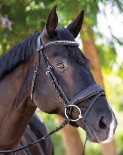 New HALTER EGO ® Doc Marten Snaffle Bridle Black