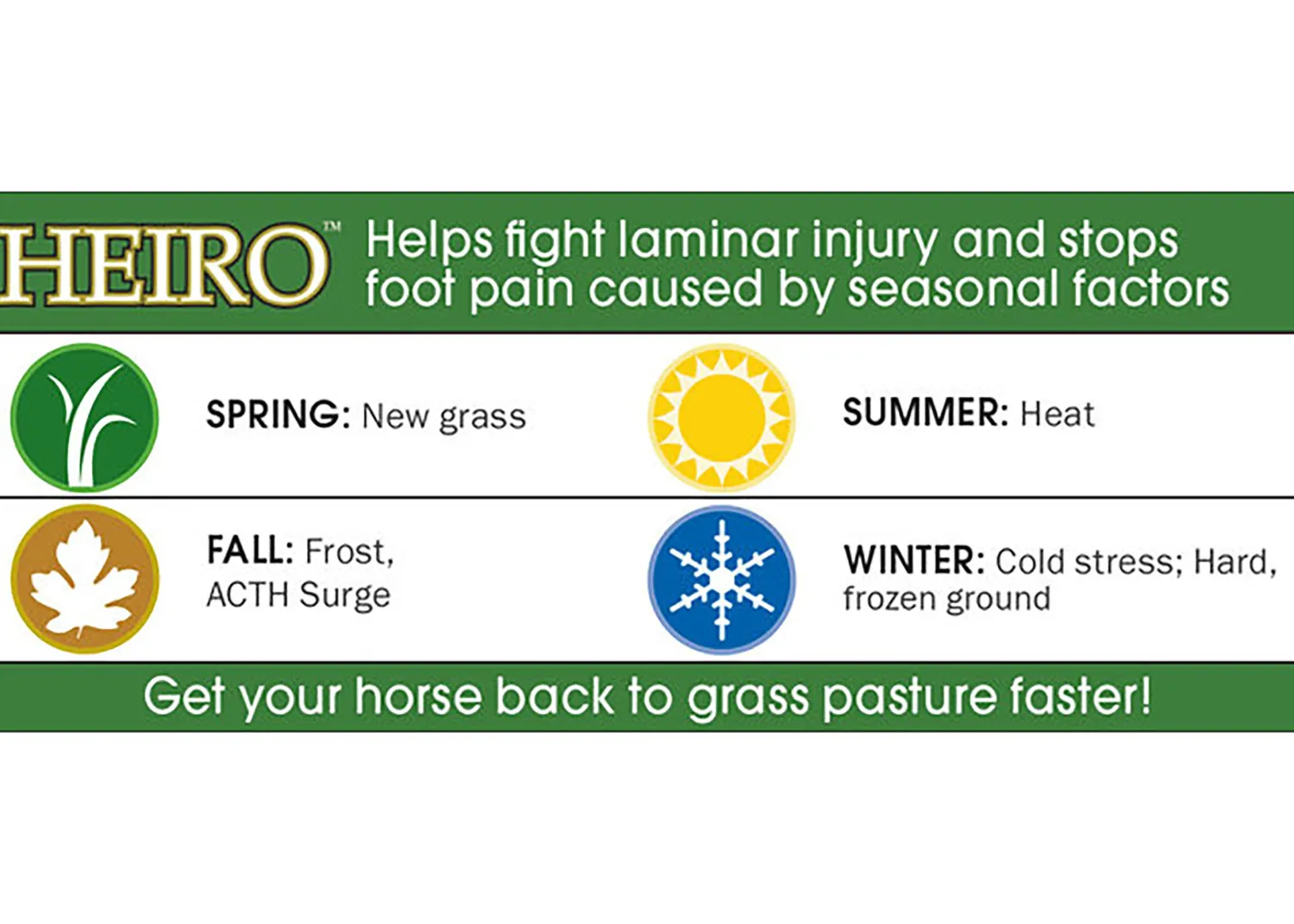 Hot RJ MATTHEWS Heiro™ Healthy Equine Insulin Rescue Organical