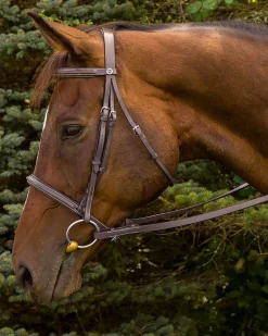 JPC EQUESTRIAN Henri de Rivel Fancy Raised Padded Bridle with Laced Reins